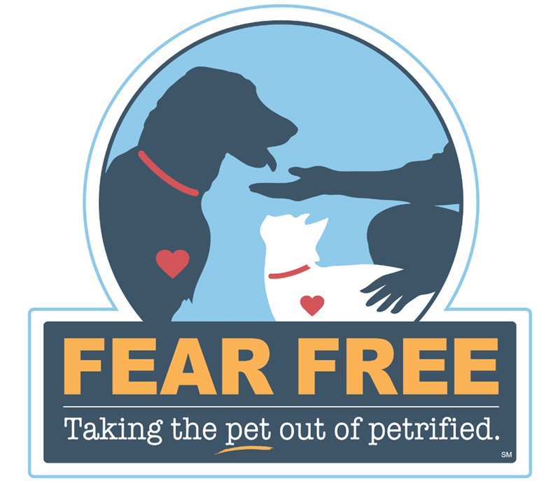 Fear Free Veterinary Care at The Pet Doctor in Lakewood