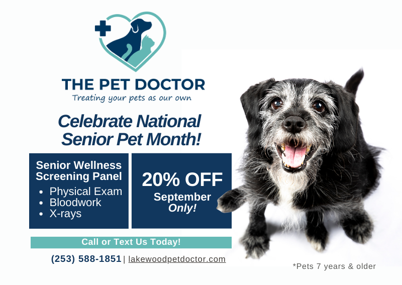 Carousel Slide 1: Learn More >>