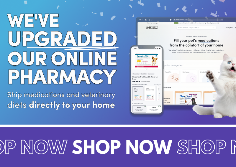 Carousel Slide 4: Online-Pharmacy